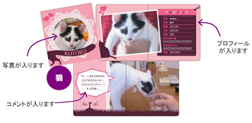 �A���o���܂߂��ق�i�y�b�g�Łj